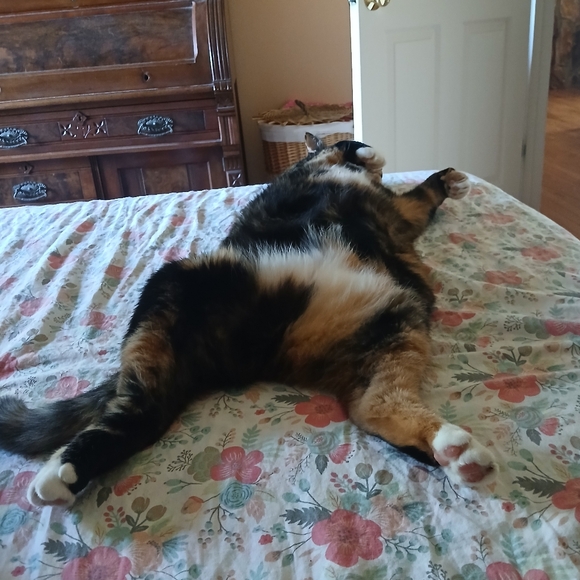 Meet your Posher, Emily - Picture 7 of 14